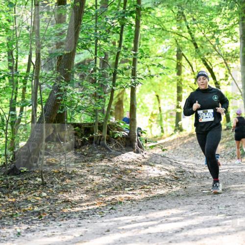 28.09.2025 - 33. Volkslauf durch das schöne Alstertal Dr. Thomas Lammeyer http://msf.ph/oto/8962614 28.09.2025 11:12:04 Laufen 3940 meine-sportfotos.de
