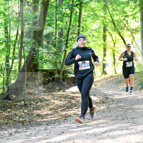 28.09.2025 - 33. Volkslauf durch das schöne Alstertal Dr. Thomas Lammeyer http://msf.ph/oto/8962621 28.09.2025 11:12:04 Laufen 3940 meine-sportfotos.de