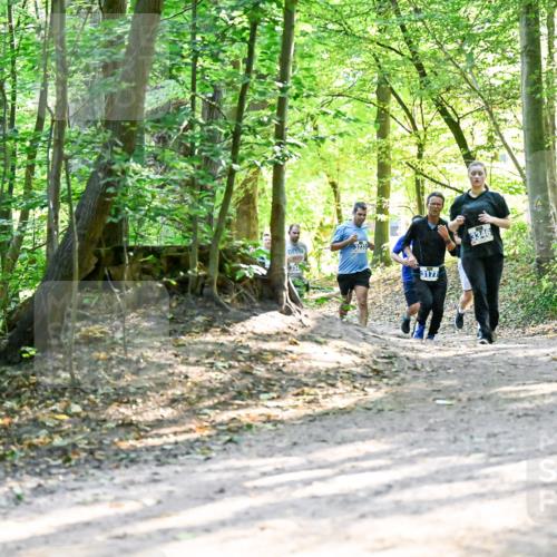 28.09.2025 - 33. Volkslauf durch das schöne Alstertal Dr. Thomas Lammeyer http://msf.ph/oto/8962627 28.09.2025 11:12:09 Laufen 3177, 3346 meine-sportfotos.de