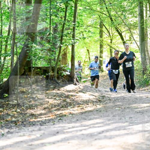 28.09.2025 - 33. Volkslauf durch das schöne Alstertal Dr. Thomas Lammeyer http://msf.ph/oto/8962628 28.09.2025 11:12:09 Laufen 3177, 3346 meine-sportfotos.de