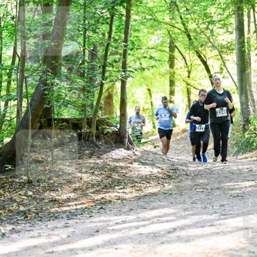 28.09.2025 - 33. Volkslauf durch das schöne Alstertal Dr. Thomas Lammeyer http://msf.ph/oto/8962630 28.09.2025 11:12:09 Laufen 3177, 3346 meine-sportfotos.de