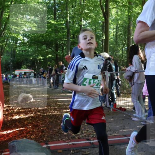 28.09.2025 - 33. Volkslauf durch das schöne Alstertal Strokosch-Dieckow http://msf.ph/oto/8962631 28.09.2025 10:58:19 Ziel 4090, 4091, 4122, 4176 meine-sportfotos.de
