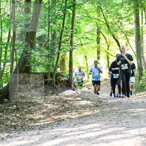 28.09.2025 - 33. Volkslauf durch das schöne Alstertal Dr. Thomas Lammeyer http://msf.ph/oto/8962632 28.09.2025 11:12:09 Laufen 3177, 3346 meine-sportfotos.de