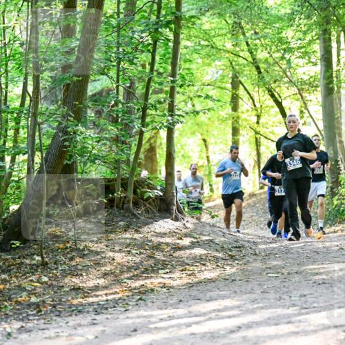 28.09.2025 - 33. Volkslauf durch das schöne Alstertal Dr. Thomas Lammeyer http://msf.ph/oto/8962633 28.09.2025 11:12:09 Laufen 3233, 317, 3346, 394 meine-sportfotos.de
