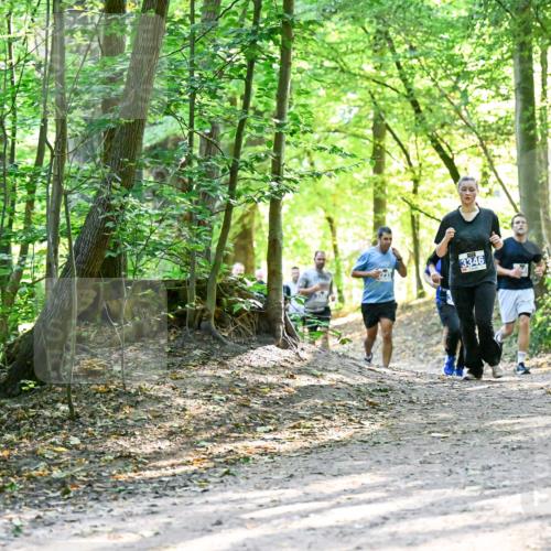 28.09.2025 - 33. Volkslauf durch das schöne Alstertal Dr. Thomas Lammeyer http://msf.ph/oto/8962634 28.09.2025 11:12:10 Laufen 3346 meine-sportfotos.de