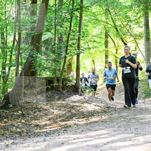 28.09.2025 - 33. Volkslauf durch das schöne Alstertal Dr. Thomas Lammeyer http://msf.ph/oto/8962635 28.09.2025 11:12:10 Laufen 3346, 3233 meine-sportfotos.de