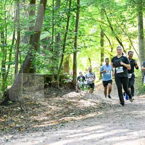 28.09.2025 - 33. Volkslauf durch das schöne Alstertal Dr. Thomas Lammeyer http://msf.ph/oto/8962636 28.09.2025 11:12:10 Laufen 3233, 3346, 77, 394 meine-sportfotos.de