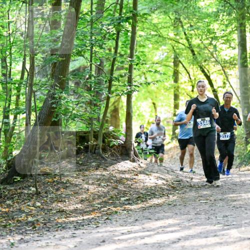 28.09.2025 - 33. Volkslauf durch das schöne Alstertal Dr. Thomas Lammeyer http://msf.ph/oto/8962637 28.09.2025 11:12:10 Laufen 3233, 3346, 3177 meine-sportfotos.de