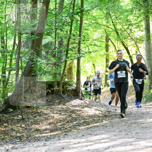 28.09.2025 - 33. Volkslauf durch das schöne Alstertal Dr. Thomas Lammeyer http://msf.ph/oto/8962639 28.09.2025 11:12:10 Laufen 3346, 3177 meine-sportfotos.de