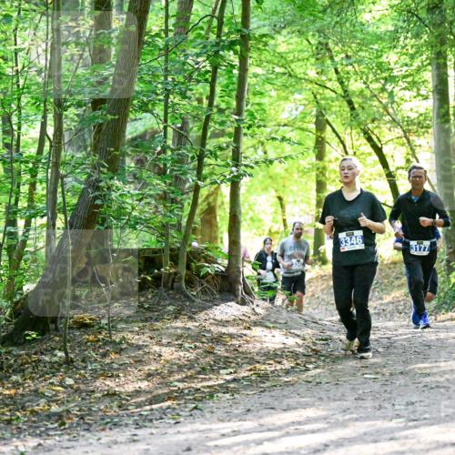 28.09.2025 - 33. Volkslauf durch das schöne Alstertal Dr. Thomas Lammeyer http://msf.ph/oto/8962640 28.09.2025 11:12:11 Laufen 3346, 3177, 3949 meine-sportfotos.de