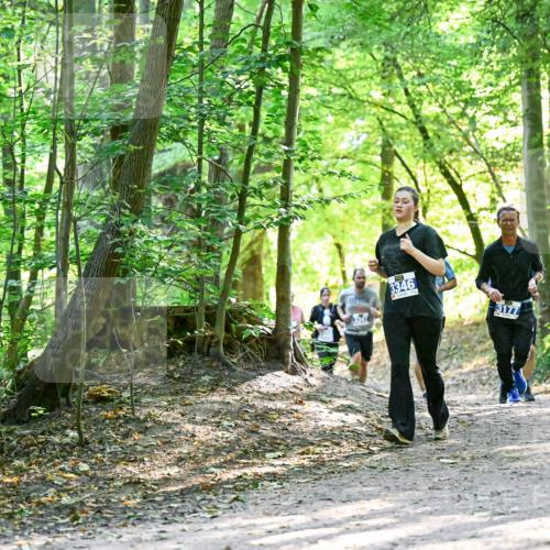 28.09.2025 - 33. Volkslauf durch das schöne Alstertal Dr. Thomas Lammeyer http://msf.ph/oto/8962641 28.09.2025 11:12:11 Laufen 3346, 3177, 3949 meine-sportfotos.de