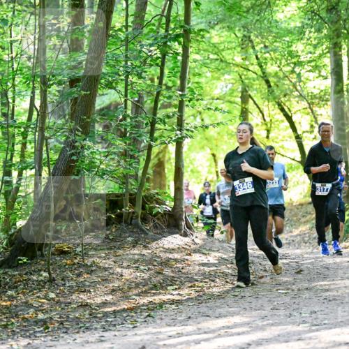 28.09.2025 - 33. Volkslauf durch das schöne Alstertal Dr. Thomas Lammeyer http://msf.ph/oto/8962642 28.09.2025 11:12:11 Laufen 3346, 3233, 3177, 3949 meine-sportfotos.de