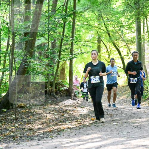 28.09.2025 - 33. Volkslauf durch das schöne Alstertal Dr. Thomas Lammeyer http://msf.ph/oto/8962644 28.09.2025 11:12:11 Laufen 3346, 3233, 394, 3177 meine-sportfotos.de