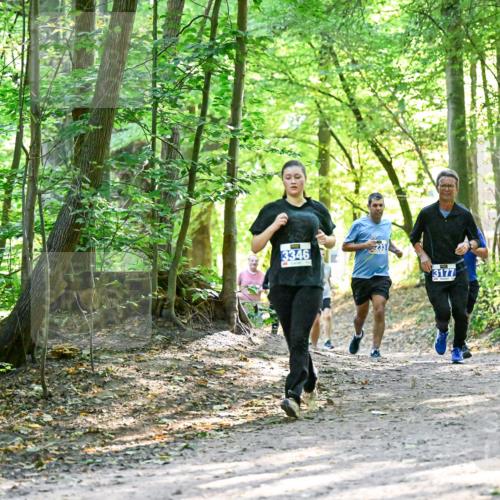 28.09.2025 - 33. Volkslauf durch das schöne Alstertal Dr. Thomas Lammeyer http://msf.ph/oto/8962645 28.09.2025 11:12:11 Laufen 3346, 3177 meine-sportfotos.de