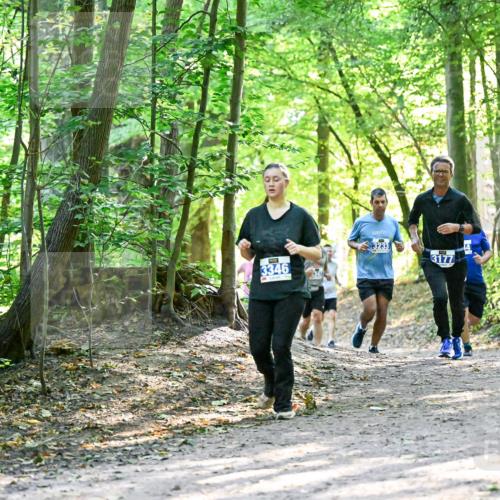 28.09.2025 - 33. Volkslauf durch das schöne Alstertal Dr. Thomas Lammeyer http://msf.ph/oto/8962646 28.09.2025 11:12:11 Laufen 3233, 394, 3177, 3346 meine-sportfotos.de