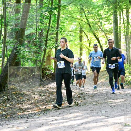 28.09.2025 - 33. Volkslauf durch das schöne Alstertal Dr. Thomas Lammeyer http://msf.ph/oto/8962647 28.09.2025 11:12:11 Laufen 3346, 3177, 34 meine-sportfotos.de