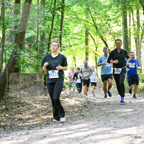 28.09.2025 - 33. Volkslauf durch das schöne Alstertal Dr. Thomas Lammeyer http://msf.ph/oto/8962650 28.09.2025 11:12:12 Laufen 3346, 3177, 3234, 3949 meine-sportfotos.de