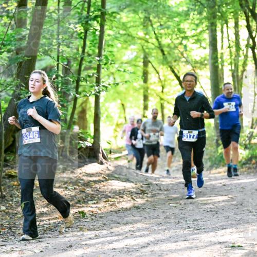 28.09.2025 - 33. Volkslauf durch das schöne Alstertal Dr. Thomas Lammeyer http://msf.ph/oto/8962652 28.09.2025 11:12:12 Laufen 3346, 3177 meine-sportfotos.de