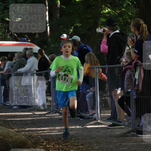 28.09.2025 - 33. Volkslauf durch das schöne Alstertal Strokosch-Dieckow http://msf.ph/oto/8962653 28.09.2025 10:58:25 Ziel 4176 meine-sportfotos.de