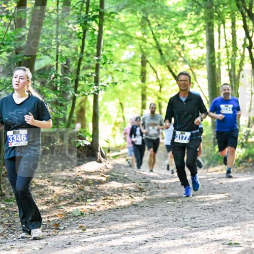 28.09.2025 - 33. Volkslauf durch das schöne Alstertal Dr. Thomas Lammeyer http://msf.ph/oto/8962654 28.09.2025 11:12:12 Laufen 3346, 3177 meine-sportfotos.de