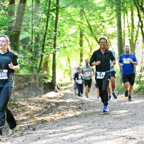 28.09.2025 - 33. Volkslauf durch das schöne Alstertal Dr. Thomas Lammeyer http://msf.ph/oto/8962655 28.09.2025 11:12:12 Laufen 3346, 3177 meine-sportfotos.de
