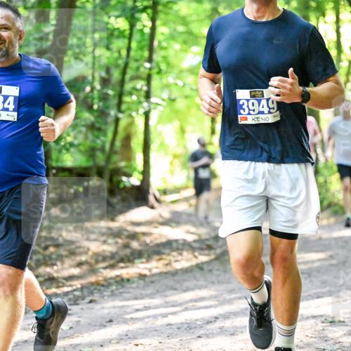 28.09.2025 - 33. Volkslauf durch das schöne Alstertal Dr. Thomas Lammeyer http://msf.ph/oto/8962680 28.09.2025 11:12:16 Laufen 234, 3949 meine-sportfotos.de