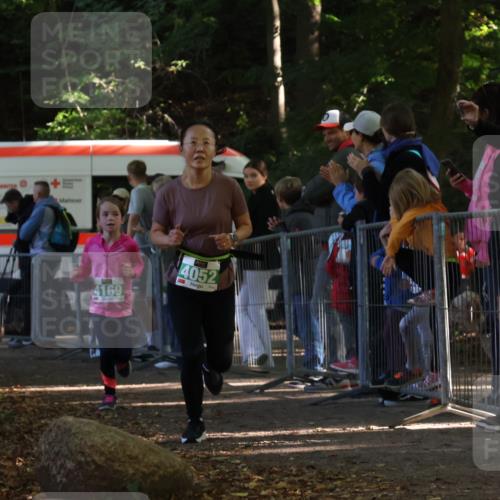 28.09.2025 - 33. Volkslauf durch das schöne Alstertal Strokosch-Dieckow http://msf.ph/oto/8962682 28.09.2025 10:58:35 Ziel 4052, 4169 meine-sportfotos.de