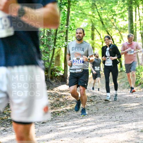 28.09.2025 - 33. Volkslauf durch das schöne Alstertal Dr. Thomas Lammeyer http://msf.ph/oto/8962684 28.09.2025 11:12:17 Laufen 3949, 3347, 413 meine-sportfotos.de