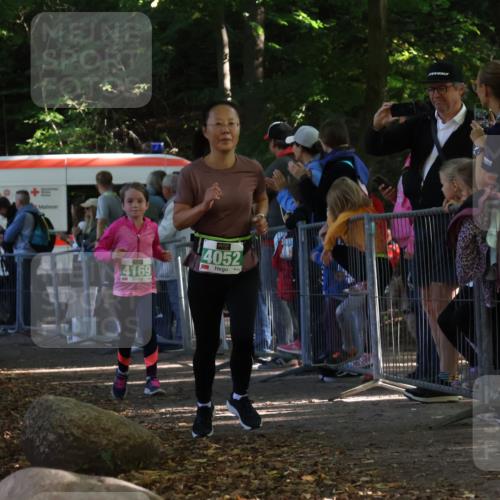28.09.2025 - 33. Volkslauf durch das schöne Alstertal Strokosch-Dieckow http://msf.ph/oto/8962688 28.09.2025 10:58:36 Ziel 4052, 4095, 4169 meine-sportfotos.de