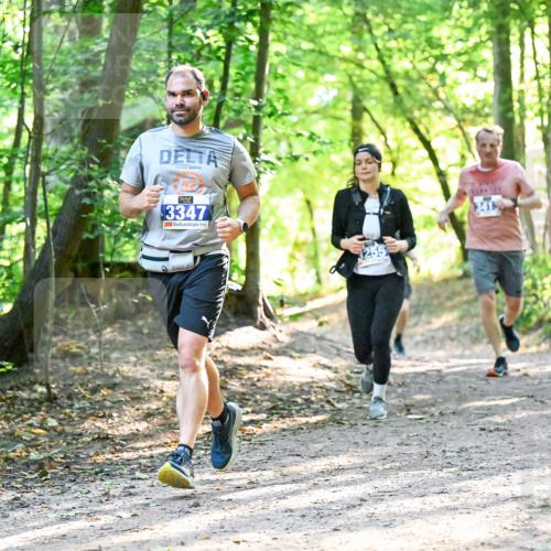 28.09.2025 - 33. Volkslauf durch das schöne Alstertal Dr. Thomas Lammeyer http://msf.ph/oto/8962689 28.09.2025 11:12:17 Laufen 2, 3347 meine-sportfotos.de