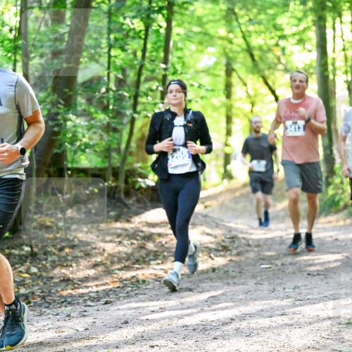 28.09.2025 - 33. Volkslauf durch das schöne Alstertal Dr. Thomas Lammeyer http://msf.ph/oto/8962692 28.09.2025 11:12:18 Laufen 3347 meine-sportfotos.de