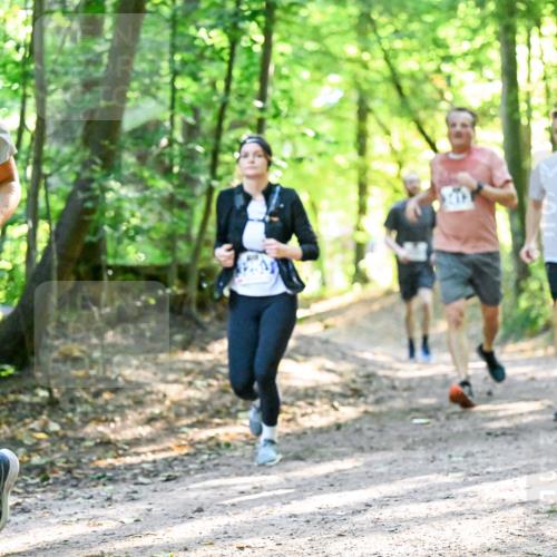 28.09.2025 - 33. Volkslauf durch das schöne Alstertal Dr. Thomas Lammeyer http://msf.ph/oto/8962693 28.09.2025 11:12:18 Laufen 3347 meine-sportfotos.de