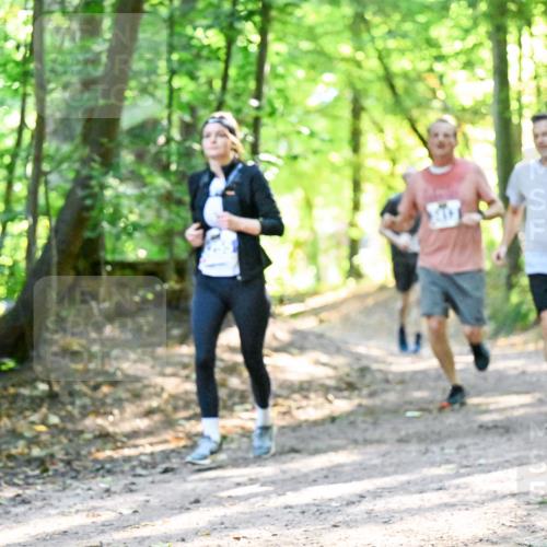 28.09.2025 - 33. Volkslauf durch das schöne Alstertal Dr. Thomas Lammeyer http://msf.ph/oto/8962694 28.09.2025 11:12:18 Laufen 7 meine-sportfotos.de