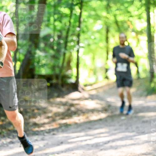 28.09.2025 - 33. Volkslauf durch das schöne Alstertal Dr. Thomas Lammeyer http://msf.ph/oto/8962708 28.09.2025 11:12:20 Laufen  meine-sportfotos.de