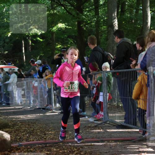 28.09.2025 - 33. Volkslauf durch das schöne Alstertal Strokosch-Dieckow http://msf.ph/oto/8962712 28.09.2025 10:58:39 Ziel 4052, 4095, 4169 meine-sportfotos.de