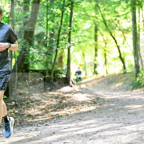 28.09.2025 - 33. Volkslauf durch das schöne Alstertal Dr. Thomas Lammeyer http://msf.ph/oto/8962723 28.09.2025 11:12:22 Laufen 3070, 1 meine-sportfotos.de