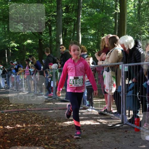 28.09.2025 - 33. Volkslauf durch das schöne Alstertal Strokosch-Dieckow http://msf.ph/oto/8962724 28.09.2025 10:58:40 Ziel 4095, 4169 meine-sportfotos.de