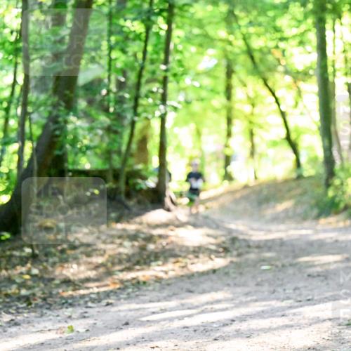 28.09.2025 - 33. Volkslauf durch das schöne Alstertal Dr. Thomas Lammeyer http://msf.ph/oto/8962726 28.09.2025 11:12:23 Laufen  meine-sportfotos.de