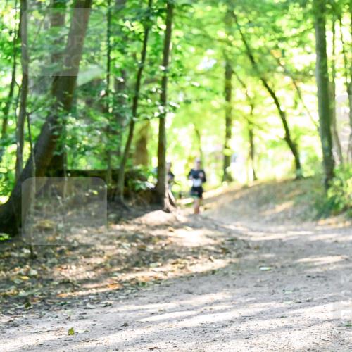 28.09.2025 - 33. Volkslauf durch das schöne Alstertal Dr. Thomas Lammeyer http://msf.ph/oto/8962727 28.09.2025 11:12:23 Laufen  meine-sportfotos.de