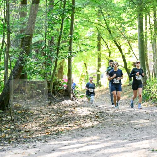 28.09.2025 - 33. Volkslauf durch das schöne Alstertal Dr. Thomas Lammeyer http://msf.ph/oto/8962730 28.09.2025 11:12:27 Laufen 3022, 3023 meine-sportfotos.de