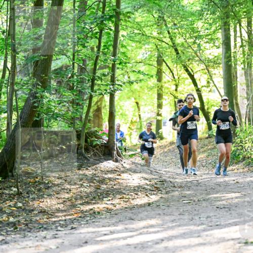 28.09.2025 - 33. Volkslauf durch das schöne Alstertal Dr. Thomas Lammeyer http://msf.ph/oto/8962732 28.09.2025 11:12:27 Laufen 3218, 3022, 3023 meine-sportfotos.de