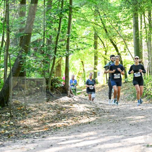 28.09.2025 - 33. Volkslauf durch das schöne Alstertal Dr. Thomas Lammeyer http://msf.ph/oto/8962734 28.09.2025 11:12:27 Laufen 3218, 3022, 3023 meine-sportfotos.de