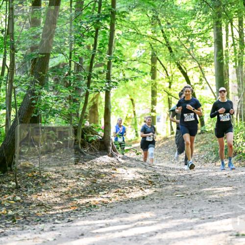 28.09.2025 - 33. Volkslauf durch das schöne Alstertal Dr. Thomas Lammeyer http://msf.ph/oto/8962735 28.09.2025 11:12:27 Laufen 3022, 3023 meine-sportfotos.de