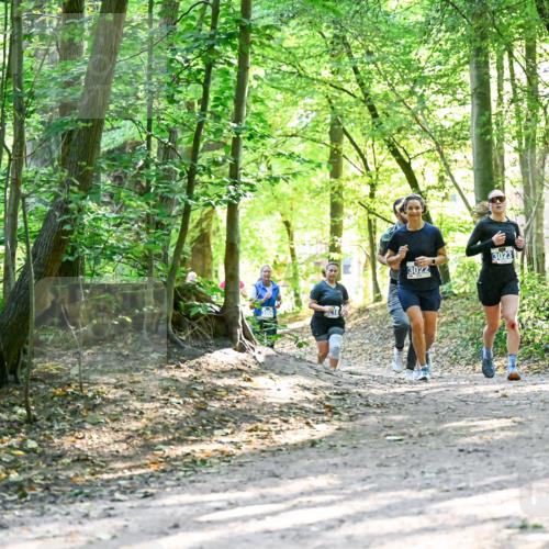 28.09.2025 - 33. Volkslauf durch das schöne Alstertal Dr. Thomas Lammeyer http://msf.ph/oto/8962736 28.09.2025 11:12:27 Laufen 3022, 3023 meine-sportfotos.de
