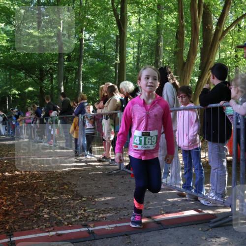 28.09.2025 - 33. Volkslauf durch das schöne Alstertal Strokosch-Dieckow http://msf.ph/oto/8962737 28.09.2025 10:58:41 Ziel 4095 meine-sportfotos.de
