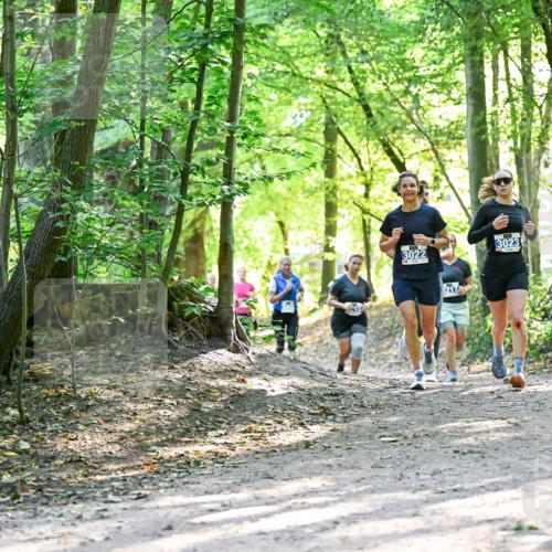 28.09.2025 - 33. Volkslauf durch das schöne Alstertal Dr. Thomas Lammeyer http://msf.ph/oto/8962740 28.09.2025 11:12:28 Laufen 3022, 3023 meine-sportfotos.de