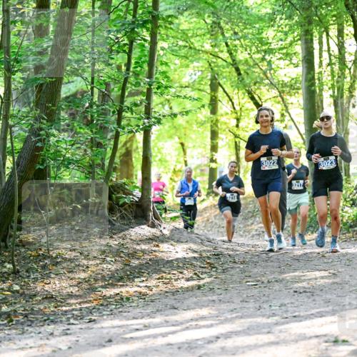 28.09.2025 - 33. Volkslauf durch das schöne Alstertal Dr. Thomas Lammeyer http://msf.ph/oto/8962741 28.09.2025 11:12:28 Laufen 3218, 3022, 3217, 3023 meine-sportfotos.de