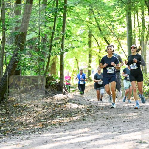 28.09.2025 - 33. Volkslauf durch das schöne Alstertal Dr. Thomas Lammeyer http://msf.ph/oto/8962743 28.09.2025 11:12:29 Laufen 3022, 199, 3023 meine-sportfotos.de