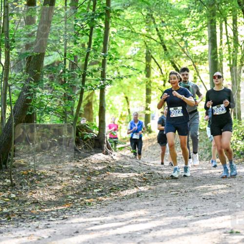 28.09.2025 - 33. Volkslauf durch das schöne Alstertal Dr. Thomas Lammeyer http://msf.ph/oto/8962745 28.09.2025 11:12:29 Laufen 3022, 3023 meine-sportfotos.de