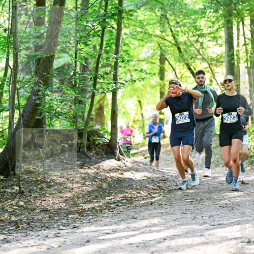 28.09.2025 - 33. Volkslauf durch das schöne Alstertal Dr. Thomas Lammeyer http://msf.ph/oto/8962747 28.09.2025 11:12:29 Laufen 3022, 3023 meine-sportfotos.de